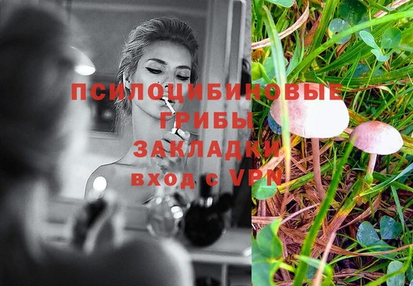 прущие крисы Абинск
