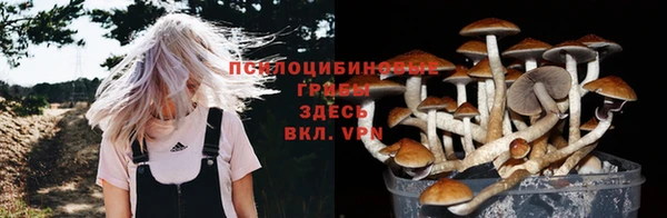 экстази Липки